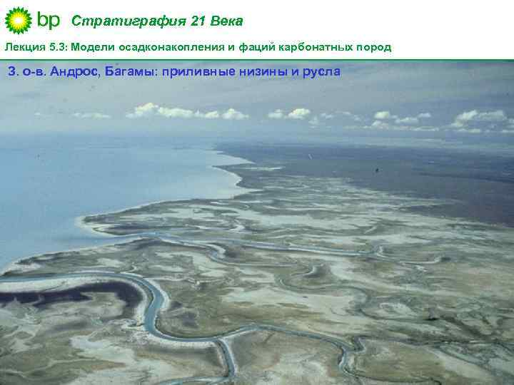 Стратиграфия 21 Века Лекция 5. 3: Модели осадконакопления и фаций карбонатных пород З. о-в.