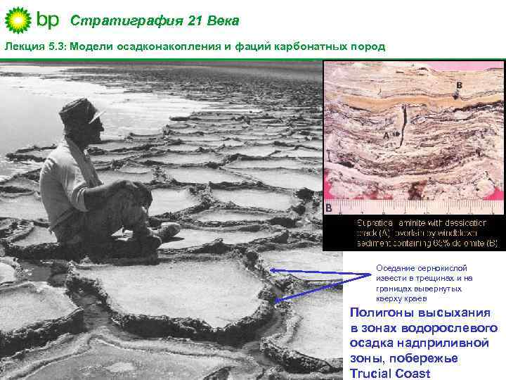 Стратиграфия 21 Века Лекция 5. 3: Модели осадконакопления и фаций карбонатных пород Оседание сернокислой