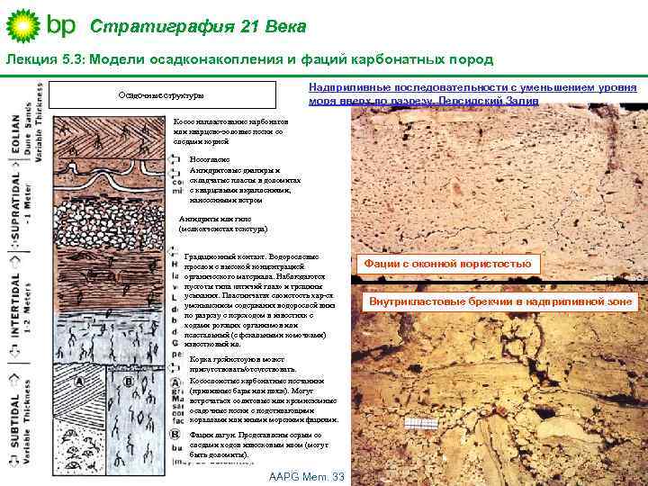 Стратиграфия 21 Века Лекция 5. 3: Модели осадконакопления и фаций карбонатных пород Надприливные последовательности