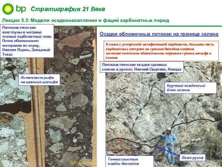 Стратиграфия 21 Века Лекция 5. 3: Модели осадконакопления и фаций карбонатных пород Литокластические пакстоуны