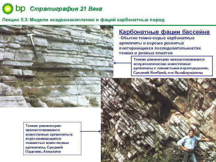 Стратиграфия 21 Века Лекция 5. 3: Модели осадконакопления и фаций карбонатных пород Карбонатные фации