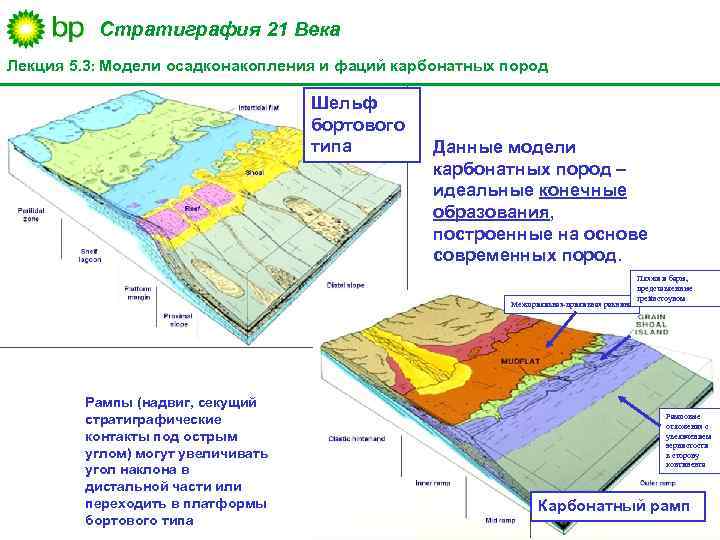 Стратиграфия 21 Века Лекция 5. 3: Модели осадконакопления и фаций карбонатных пород Шельф бортового