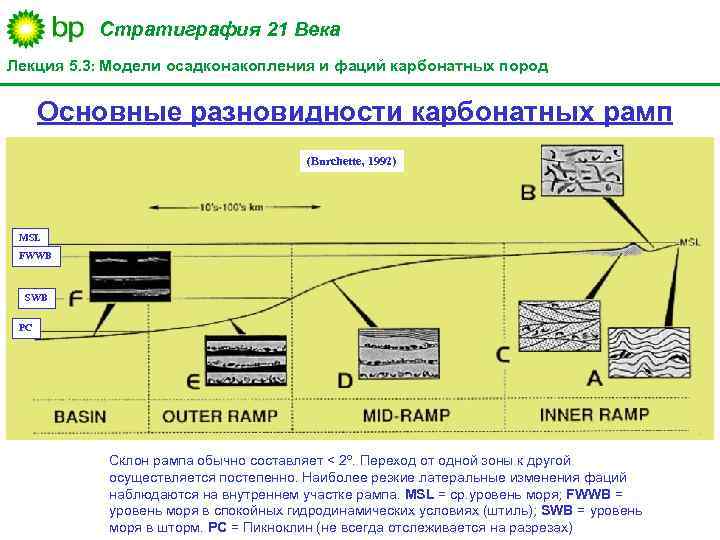 Стратиграфия 21 Века Лекция 5. 3: Модели осадконакопления и фаций карбонатных пород Основные разновидности