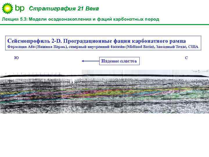 Стратиграфия 21 Века Лекция 5. 3: Модели осадконакопления и фаций карбонатных пород Сейсмопрофиль 2