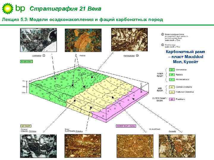 Стратиграфия 21 Века Лекция 5. 3: Модели осадконакопления и фаций карбонатных пород Карбонатный рамп