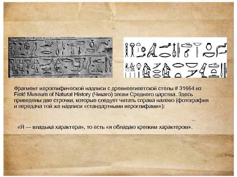 Фрагмент иероглифической надписи с древнеегипетской стелы # 31664 из Field Museum of Natural History