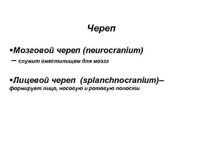 Череп §Мозговой череп (neurocranium) – служит вместилищем для мозга §Лицевой череп (splanchnocranium)– формирует лицо,