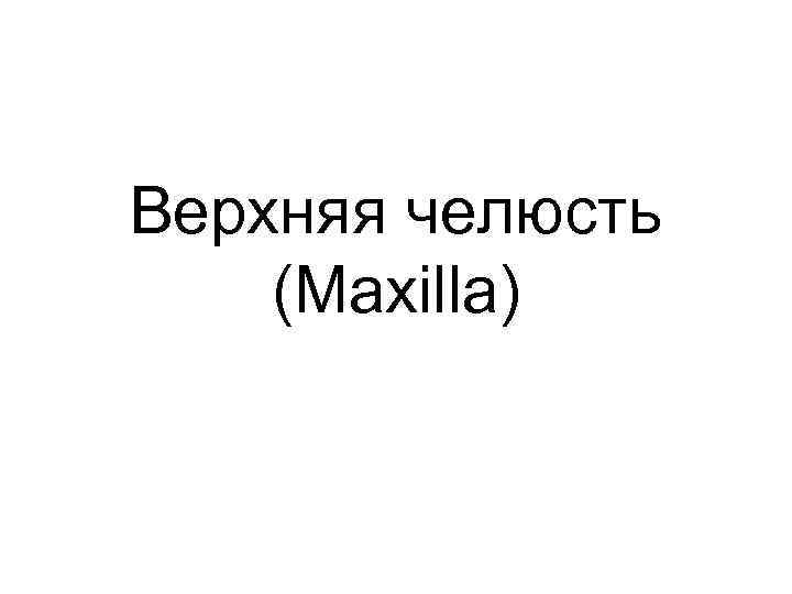 Верхняя челюсть (Maxilla) 