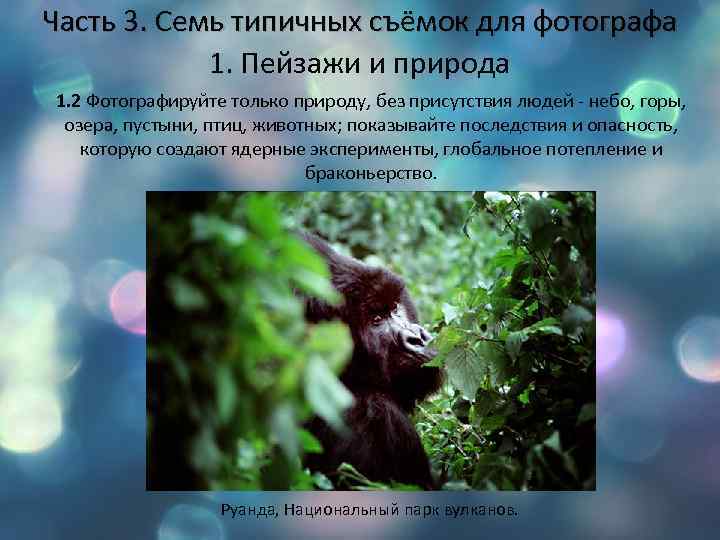 Часть 3. Семь типичных съёмок для фотографа 1. Пейзажи и природа 1. 2 Фотографируйте