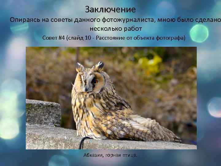 Заключение Опираясь на советы данного фотожурналиста, мною было сделано несколько работ Совет #4 (слайд