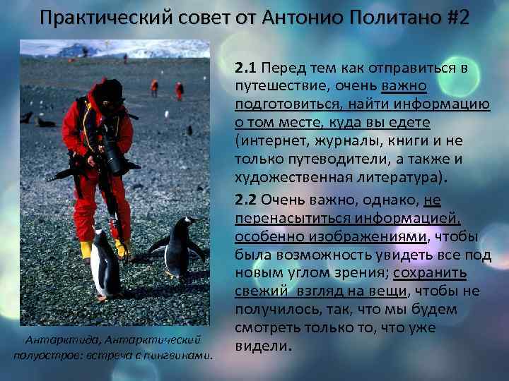 Практический совет от Антонио Политано #2 Антарктида, Антарктический полуостров: встреча с пингвинами. 2. 1
