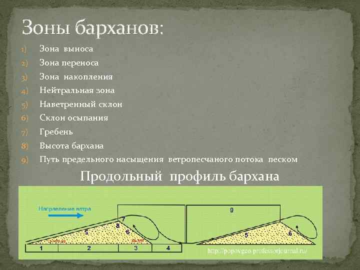 Зоны барханов: 1) Зона выноса 2) Зона переноса 3) Зона накопления 4) Нейтральная зона