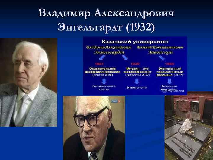 Владимир Александрович Энгельгардт (1932) 