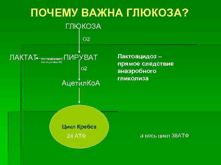 ПОЧЕМУ ВАЖНА ГЛЮКОЗА? ГЛЮКОЗА О 2 ЛАКТАТ Восстанавливаетс я в отсутствии О 2 ПИРУВАТ