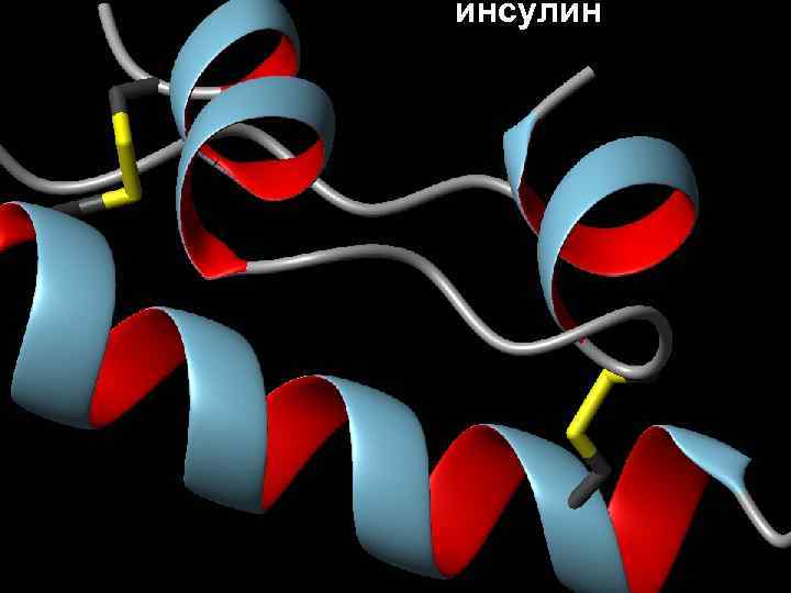 инсулин 