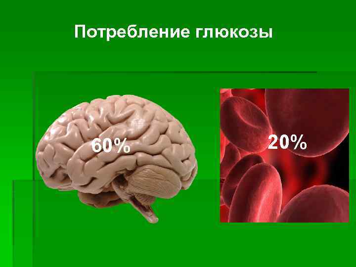 Потребление глюкозы 60% 20% 