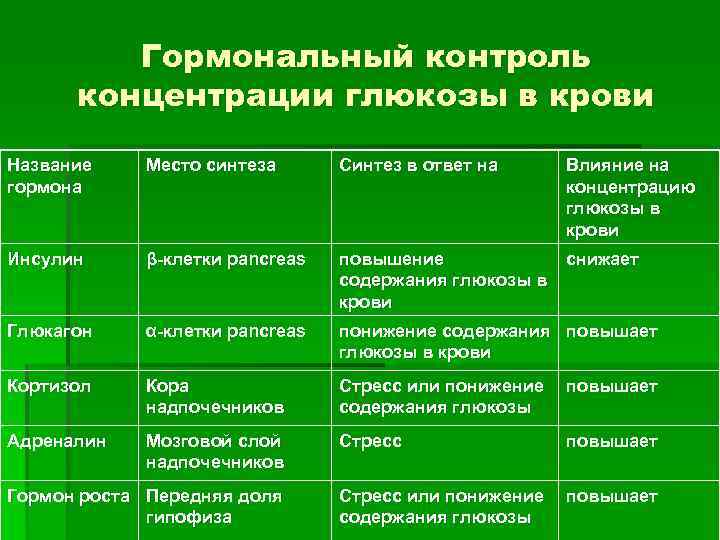 Гормональный контроль концентрации глюкозы в крови Название гормона Место синтеза Синтез в ответ на
