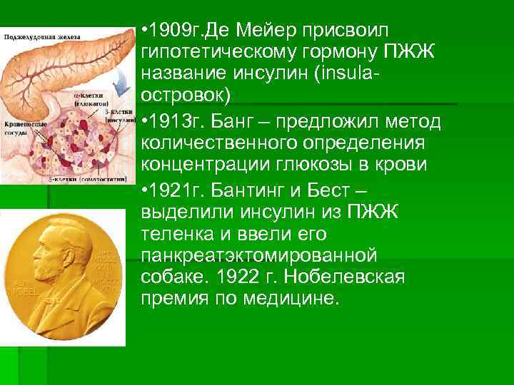 • 1909 г. Де Мейер присвоил гипотетическому гормону ПЖЖ название инсулин (insulaостровок) •