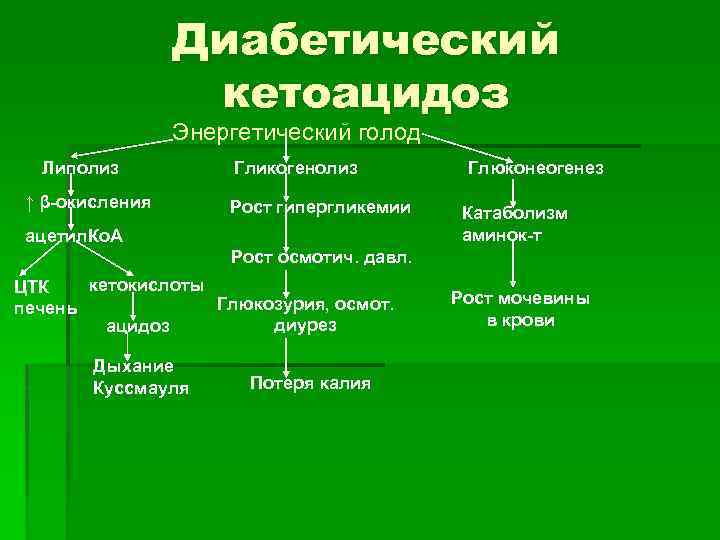Диабетический кетоацидоз Энергетический голод Липолиз Гликогенолиз Глюконеогенез ↑ β-окисления Рост гипергликемии ацетил. Ко. А