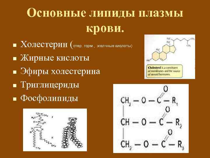 Основные липиды плазмы крови. n n n Холестерин (стер. горм. , желчные кислоты Жирные