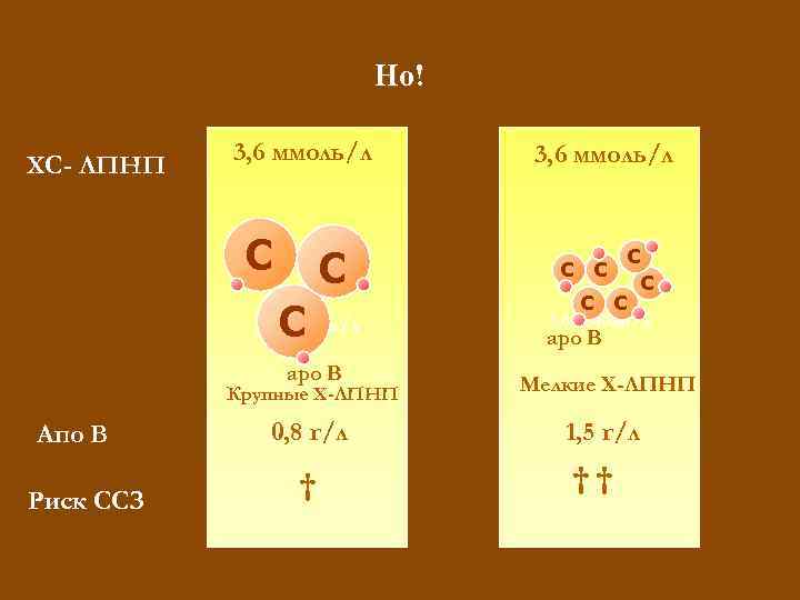 Но! ХС- ЛПНП 3, 6 ммоль/л C C C 3, 6 ммоль/л C C