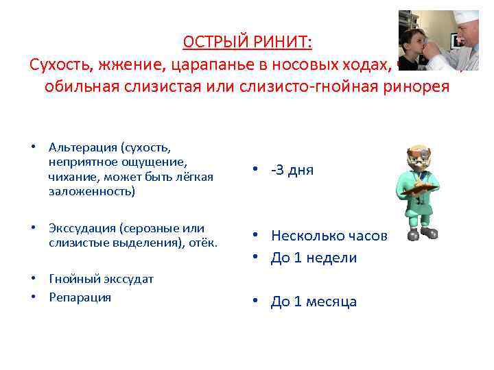 ОСТРЫЙ РИНИТ: Сухость, жжение, царапанье в носовых ходах, чиханье, обильная слизистая или слизисто-гнойная ринорея