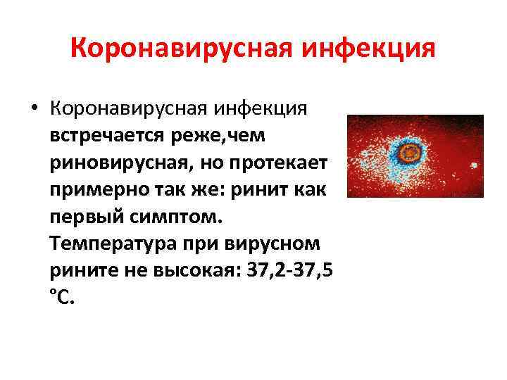 Коронавирусная инфекция • Коронавирусная инфекция встречается реже, чем риновирусная, но протекает примерно так же: