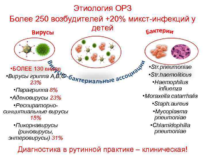 Этиология ОРЗ Более 250 возбудителей +20% микст-инфекций у детей • БОЛЕЕ 130 видов •