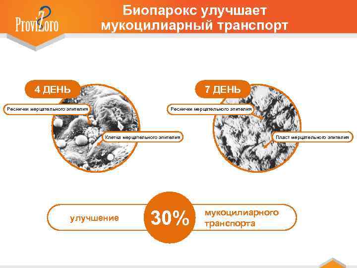 Биопарокс улучшает мукоцилиарный транспорт 4 ДЕНЬ 7 ДЕНЬ Реснички мерцательного эпителия Клетка мерцательного эпителия