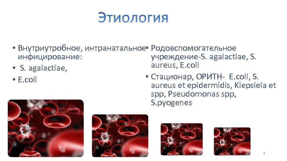  • • Внутриутробное, интранатальное Родовспомогательное учреждение-S. agalactiae, S. инфицирование: aureus, E. coli •