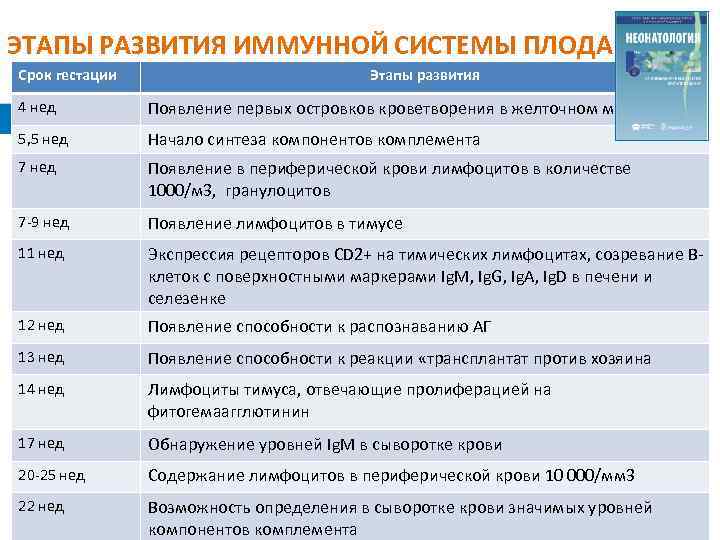 ЭТАПЫ РАЗВИТИЯ ИММУННОЙ СИСТЕМЫ ПЛОДА Срок гестации Этапы развития 4 нед Появление первых островков