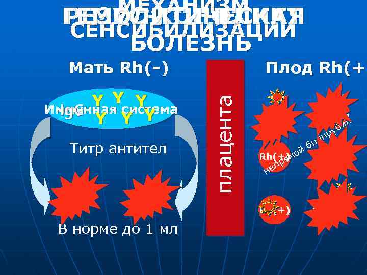 МЕХАНИЗМ ГЕМОЛИТИЧЕСКАЯ РЕЗУС-КОНФЛИКТ СЕНСИБИЛИЗАЦИИ БОЛЕЗНЬ Y Yсистема Y Иммунная Ig. G Y Y Y