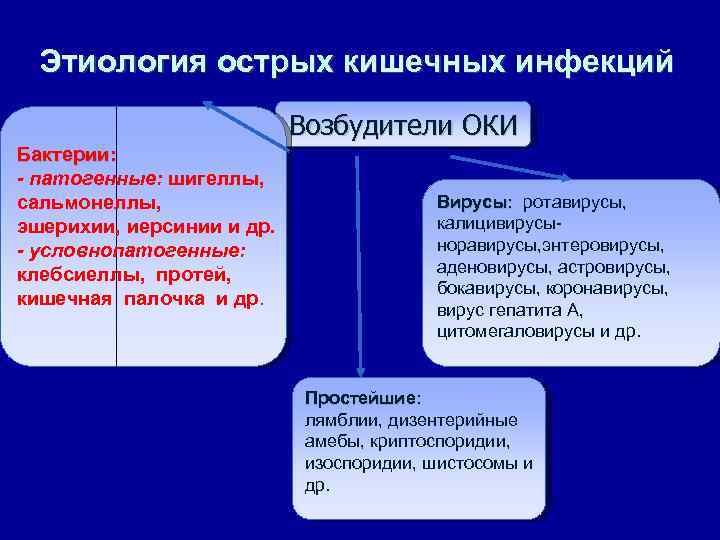 Этиология острых кишечных инфекций Возбудители ОКИ Бактерии: - патогенные: шигеллы, сальмонеллы, эшерихии, иерсинии и