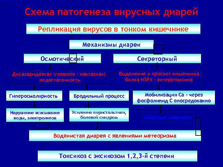 11 Схема патогенеза вирусных диарей Репликация вирусов в тонком кишечнике Механизмы диареи Осмотический Дисахаридазная