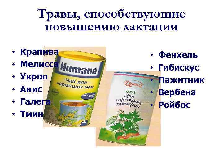 Травы, способствующие повышению лактации • • • Крапива Мелисса Укроп Анис Галега Тмин •