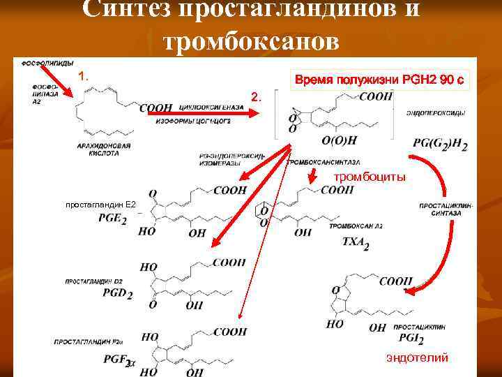 Прогинова и дюфастон схема