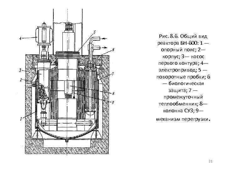  Рис. 8. 6. Общий вид реактора БН-600: 1 — опорный пояс; 2— корпус;