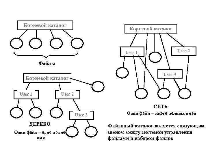 Корневой каталог User 2 User 1 Файлы User 3 Корневой каталог User 1 User