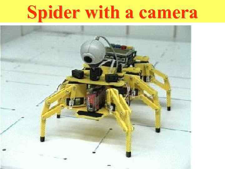 Spider with a camera 