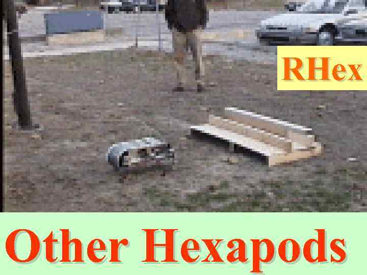 RHex Other Hexapods 