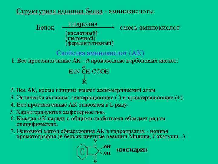 Для белков характерно. Структурные единицы белков. Аминокислота структурная единица белка. Наименьшая структурная единица белка. Структура единицы белка.