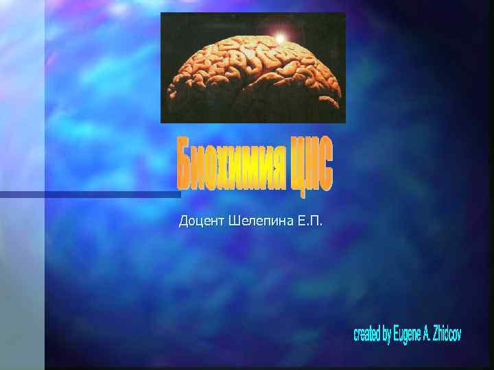 Доцент Шелепина Е. П. 