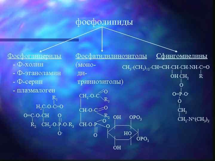 фосфолипиды Фосфоглицериды - Ф-холин - Ф-этаноламин - Ф-серин - плазмалоген R 1 H 2