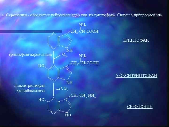 4. Серотонин - образуется нейронами ядер шва из триптофана. Связан с процессами сна. NH
