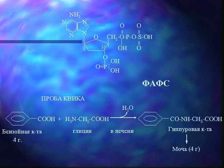 O OH = N O = N NH 2 CH 2 -O-P-O-S-OH O 3’