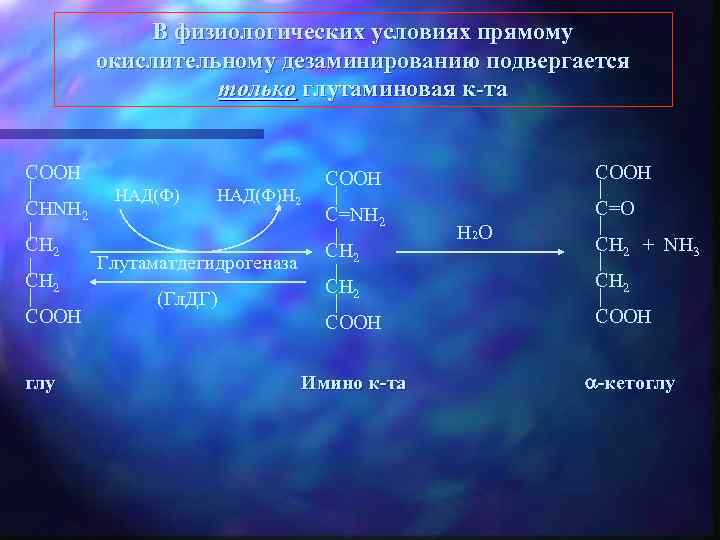 В физиологических условиях прямому окислительному дезаминированию подвергается только глутаминовая к-та COOH CHNH 2 CH
