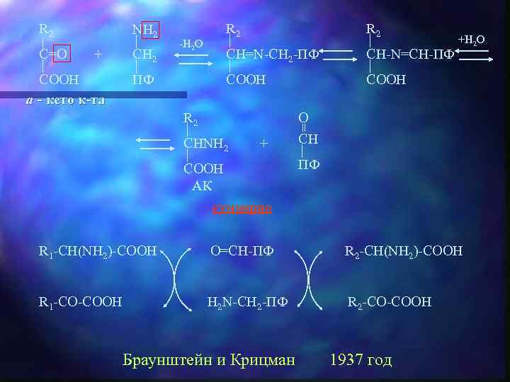 R 2 NH 2 + CH 2 COOH a - кето к-та ПФ C=O