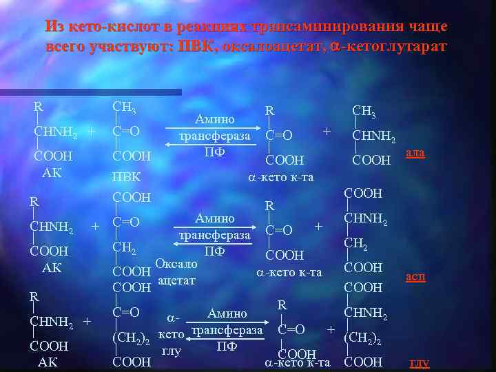 Из кето-кислот в реакциях трансаминирования чаще всего участвуют: ПВК, оксалоацетат, -кетоглутарат R CH 3