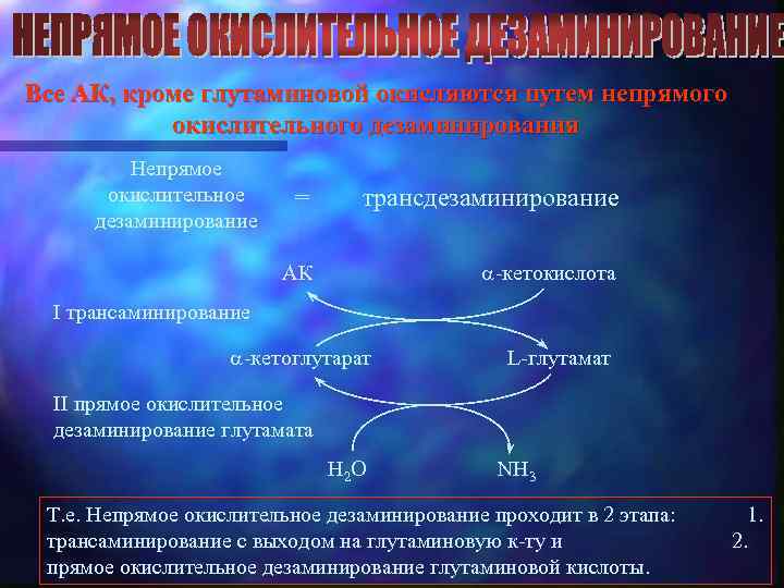 Все АК, кроме глутаминовой окисляются путем непрямого окислительного дезаминирования Непрямое окислительное дезаминирование = трансдезаминирование