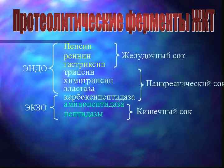 ЭНДО ЭКЗО Пепсин Желудочный сок реннин гастриксин трипсин химотрипсин Панкреатический сок эластаза карбоксипептидаза аминопептидаза